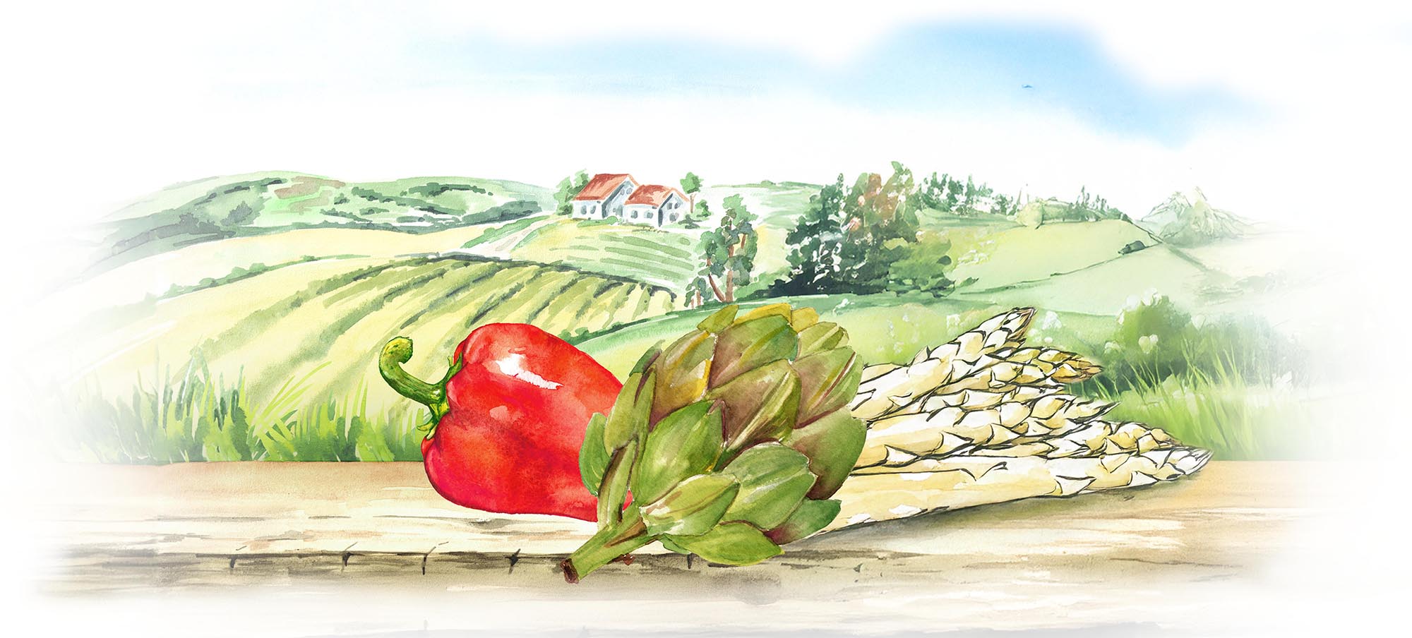 Landscape with Vegetables